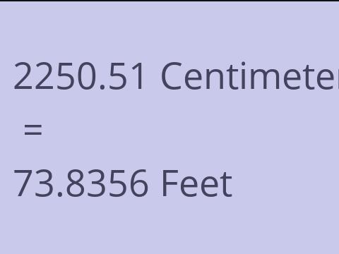 2250.51 CM TO FEET