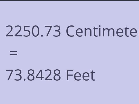 2250.73 CM TO FEET