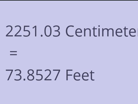 2251.03 CM TO FEET