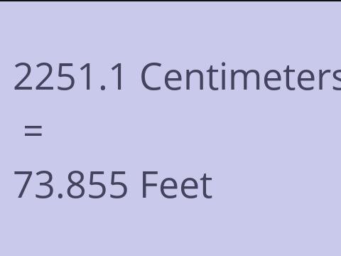 2251.1 CM TO FEET