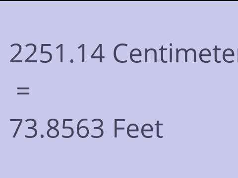2251.14 CM TO FEET