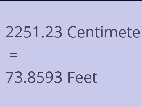 2251.23 CM TO FEET