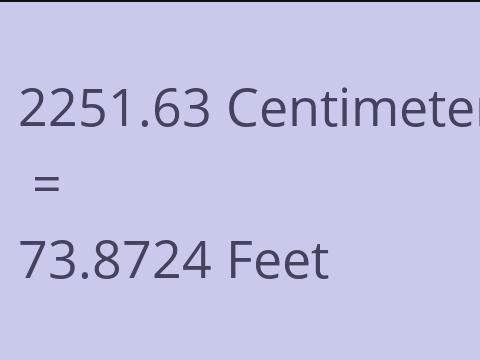 2251.63 CM TO FEET