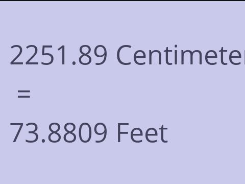 2251.89 CM TO FEET