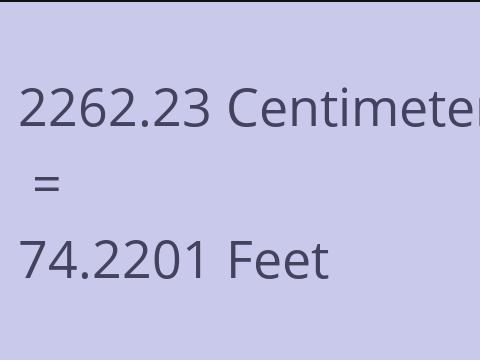 2262.23 CM TO FEET