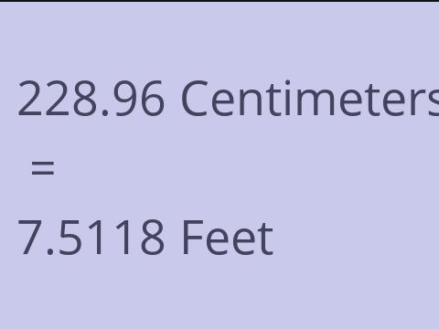 228.96 CM TO FEET