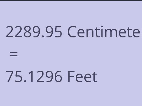 2289.95 CM TO FEET