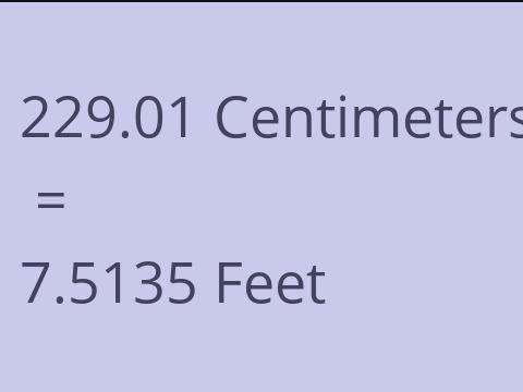 229.01 CM TO FEET