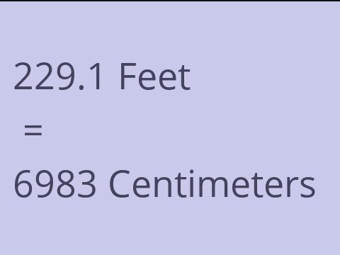 229.1 FEET TO CM