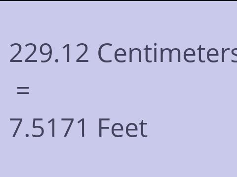 229.12 CM TO FEET