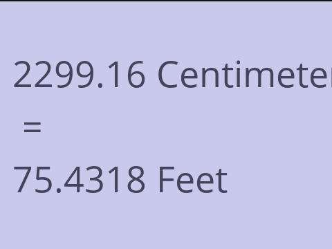 2299.16 CM TO FEET