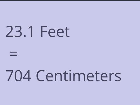 23.1 FEET TO CM