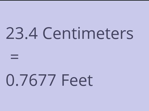 23.4 CM TO FEET