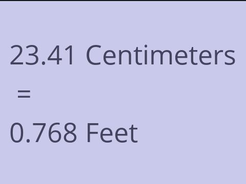 23.41 CM TO FEET