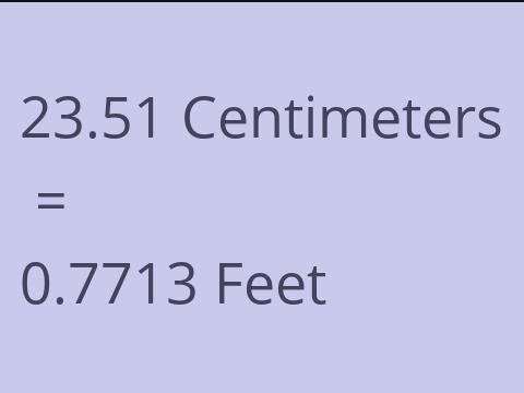 23.51 CM TO FEET