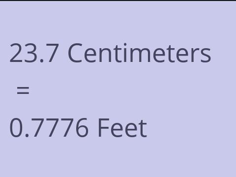 23.7 CM TO FEET