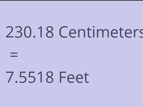 230.18 CM TO FEET