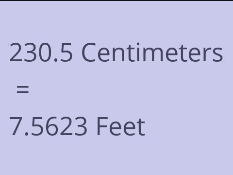 230.5 CM TO FEET