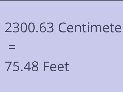 2300.63 CM TO FEET