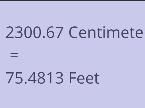 2300.67 CM TO FEET