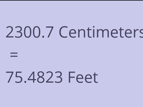 2300.7 CM TO FEET