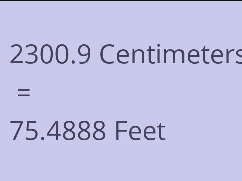 2300.9 CM TO FEET