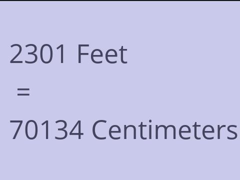 2301 FEET TO CM