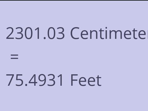 2301.03 CM TO FEET