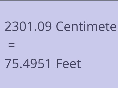 2301.09 CM TO FEET