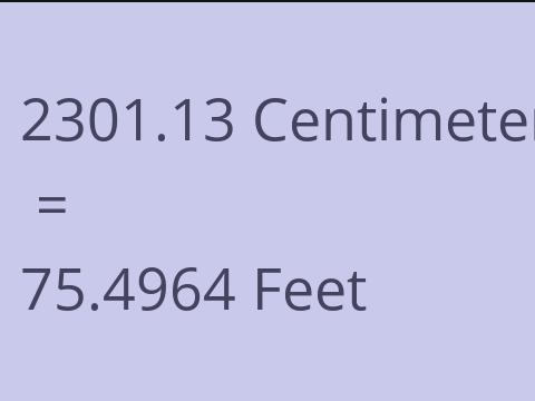 2301.13 CM TO FEET