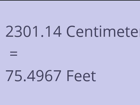 2301.14 CM TO FEET