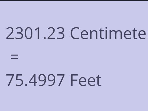 2301.23 CM TO FEET