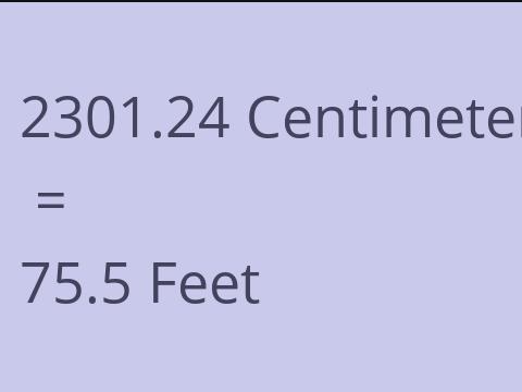 2301.24 CM TO FEET
