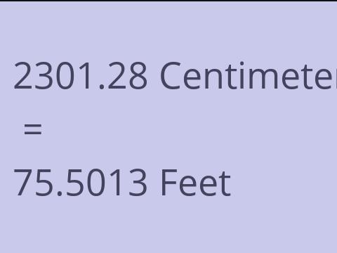 2301.28 CM TO FEET
