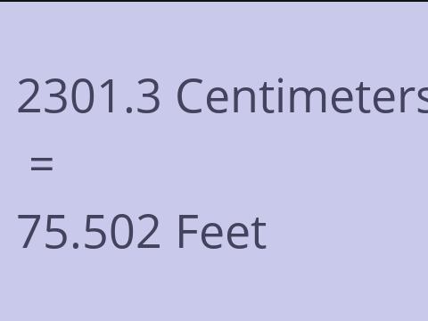 2301.3 CM TO FEET