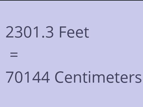 2301.3 FEET TO CM