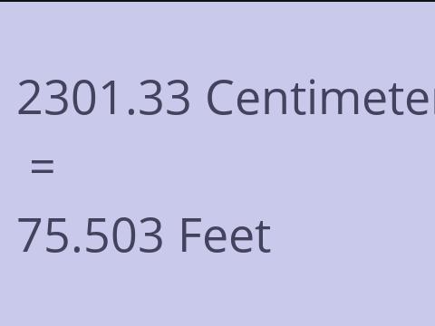2301.33 CM TO FEET