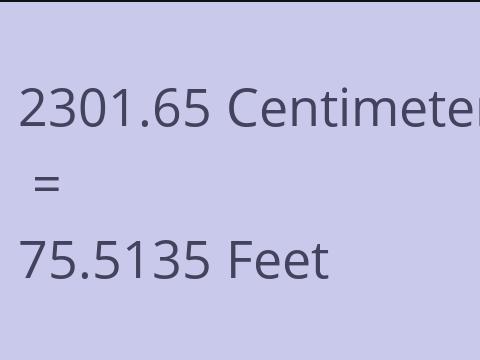 2301.65 CM TO FEET
