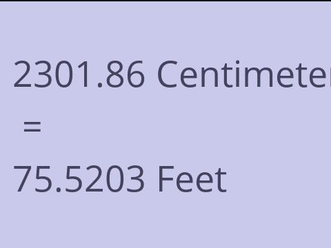 2301.86 CM TO FEET