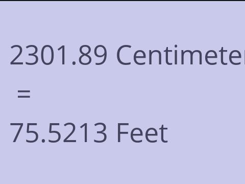 2301.89 CM TO FEET