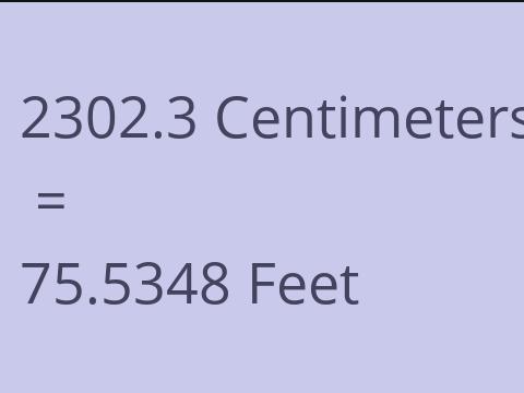 2302.3 CM TO FEET