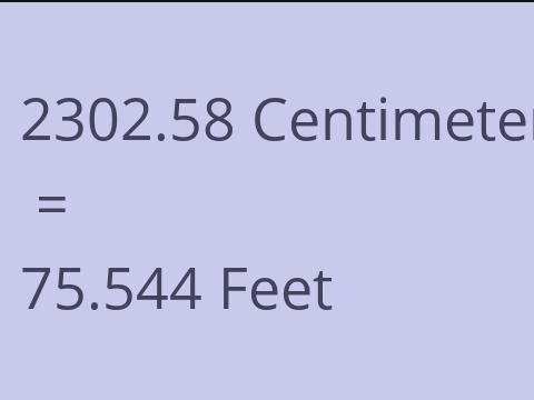 2302.58 CM TO FEET