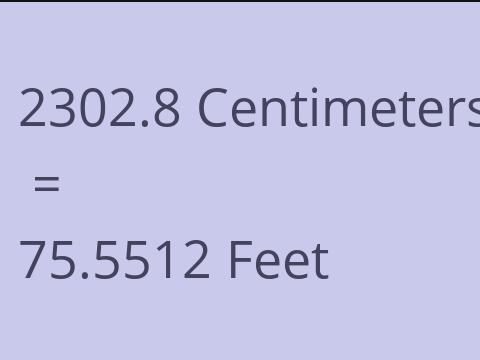 2302.8 CM TO FEET