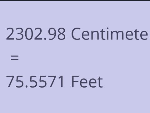 2302.98 CM TO FEET