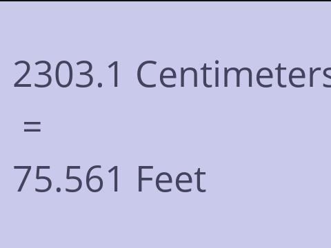 2303.1 CM TO FEET