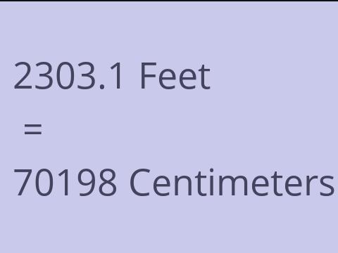 2303.1 FEET TO CM