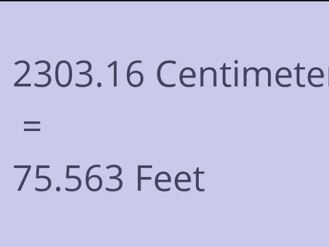 2303.16 CM TO FEET