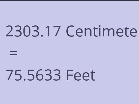 2303.17 CM TO FEET