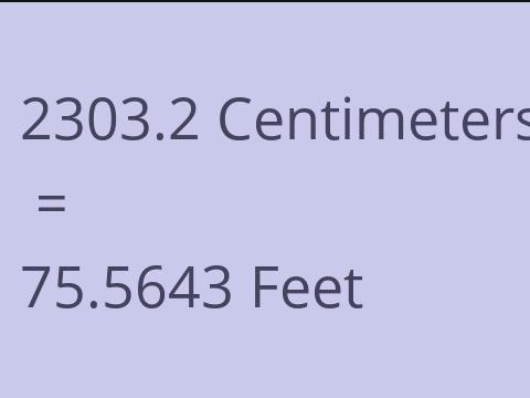 2303.2 CM TO FEET