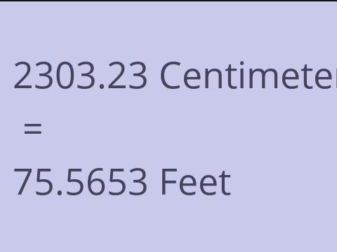 2303.23 CM TO FEET